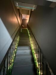 Hougang Avenue 1 (D19), Shop House #547563031